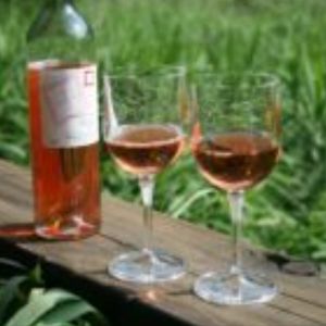 *NWOT Cheers Set of 2 Premium Portable/Collapsible Outdoor Wine Glasses